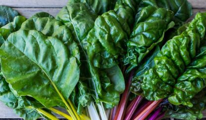The Science of Brain-Boosting Foods