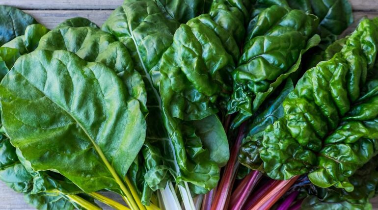 The Science of Brain-Boosting Foods